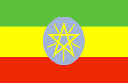 埃塞俄比亞工作