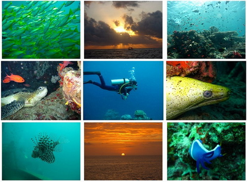 迷醉詩巴丹 潛入那片誘人深藍(lán)圖片