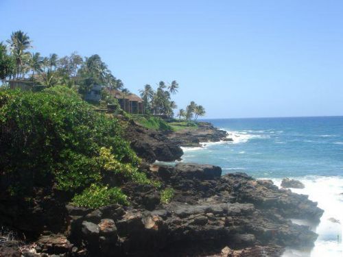 考愛島：太平洋上的蜜月天堂圖片